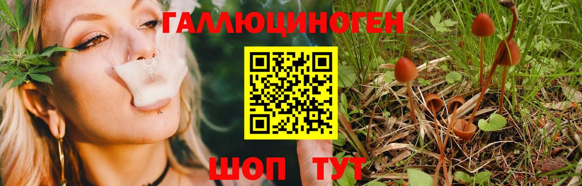 Галлюциногенные грибы Magic Shrooms Северск